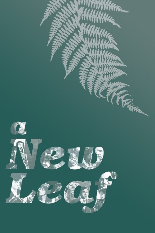 Poster 13