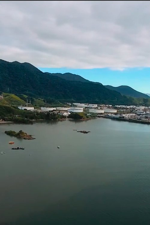 Pulsante: Um filme sobre a Baía do Araçá movie poster player