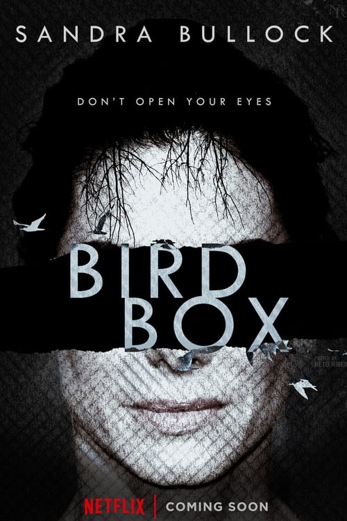 Whither Bird Box