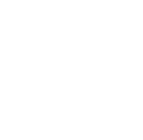 Big Crazy Family Adventure