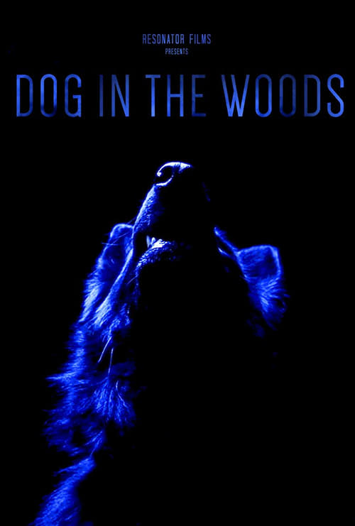 Dog in the Woods 2019