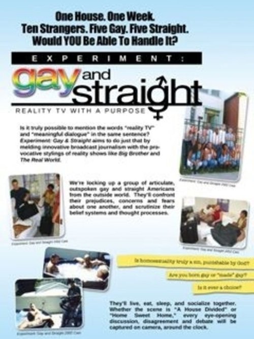 The Experiment: Gay & Straight (2003) poster