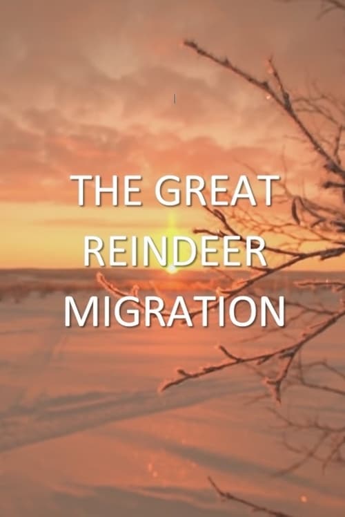 All Aboard! The Great Reindeer Migration