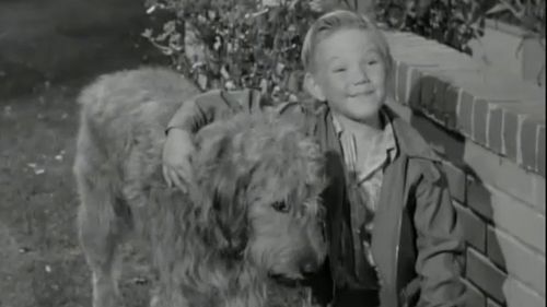 Image de l'épisode 7
