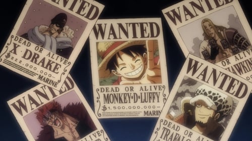 Poster della serie One Piece