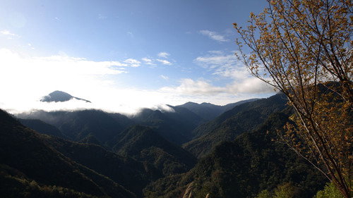 A Year in the Clouds