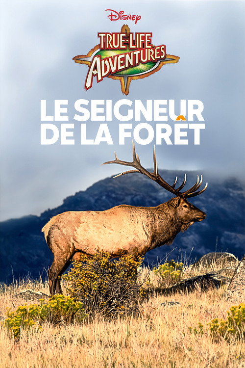 The Olympic Elk poster