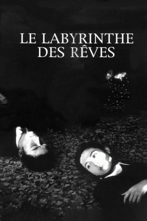 Le Labyrinthe des rêves (1997)