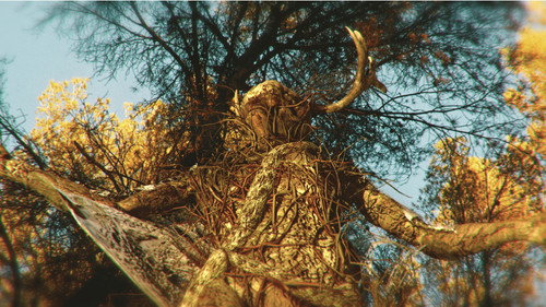 La Bestia en el Bosque