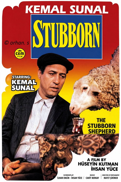 Stubborn