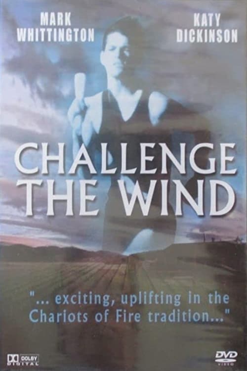 Poster Challenge the Wind 1991