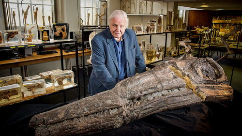 Attenborough and the Sea Dragon