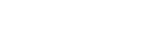 Destino Especial - Logo 5