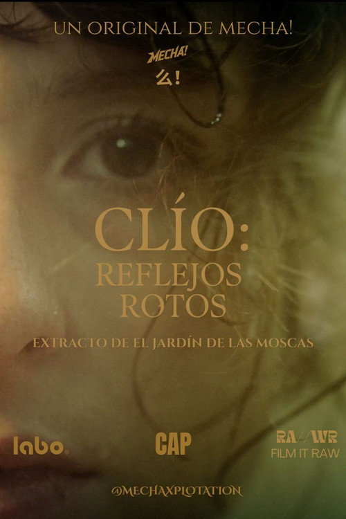 CLÍO: Reflejos Rotos