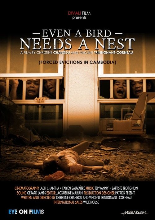 Même un oiseau a besoin de son nid movie poster player