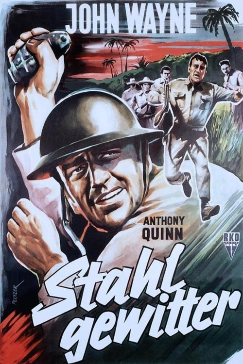 Stahlgewitter movie poster player