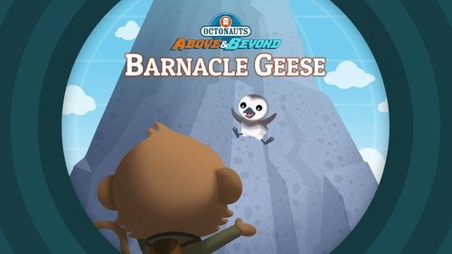 Image de l'épisode 13