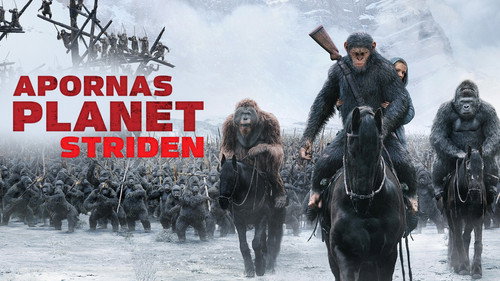 La guerra del planeta de los simios — Fondos 15