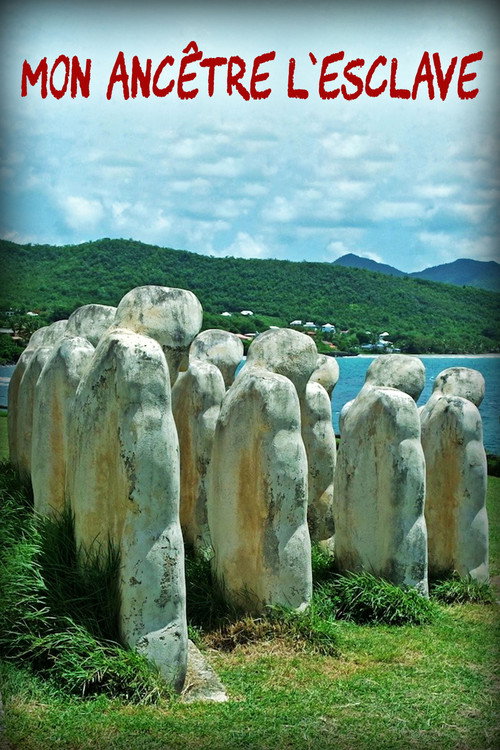 Póster oficial de Mon ancêtre l'esclave (2017) - Documentary
