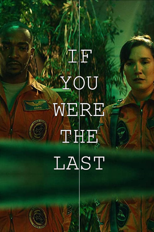 Grootschalige poster van If You Were the Last