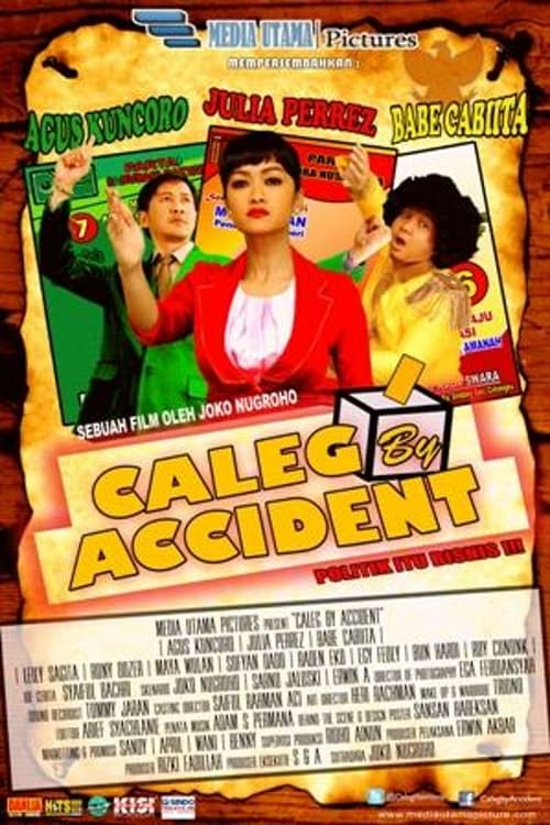 Caleg By Accident (2014)