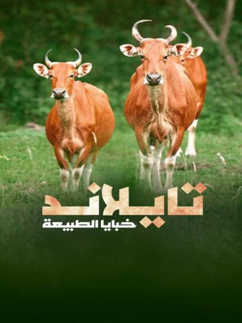 Thailand.. the secrets of nature