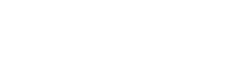 Director by Night