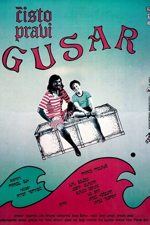 Poster Čisto pravi gusar 1987