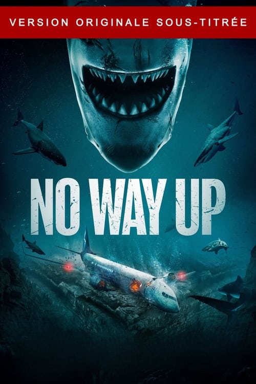 Poster image du film No Way Up No Way Up