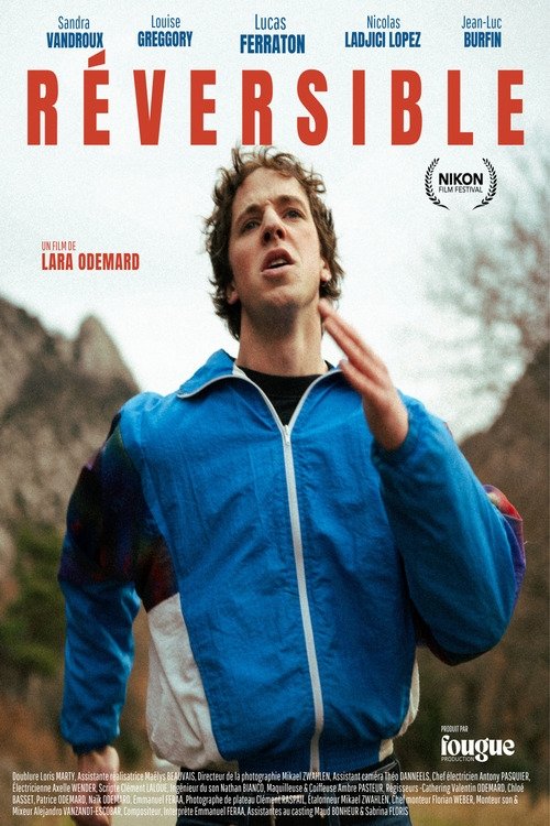 Réversible movie poster