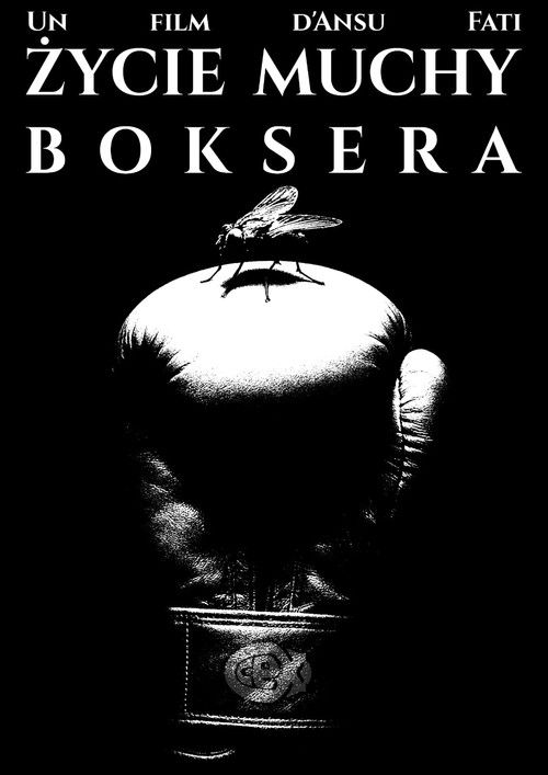 ŻYCIE MUCHY BOKSERA film afişi