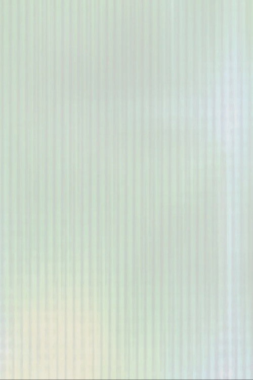 Variations in Praise of Shadows