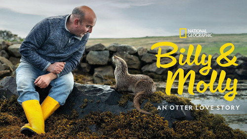 Billy & Molly: An Otter Love Story