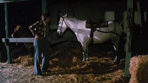 Escena del episodio 4 de la temporada 3 de la serie The Waltons