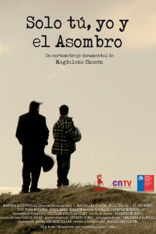 Sólo tú, yo y el asombro