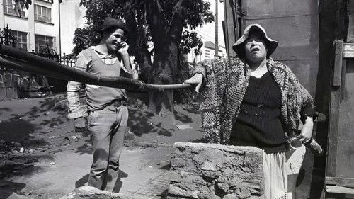 Brasileiras e Brasileiros