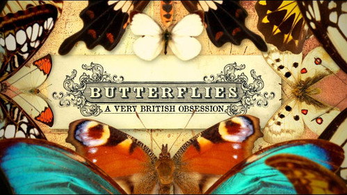 Butterflies: A Very British Obsession Backdrop Blur