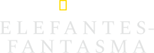 Elefantes Fantasmas - Logo 1
