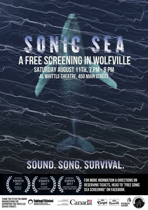 Sonic Sea 2016