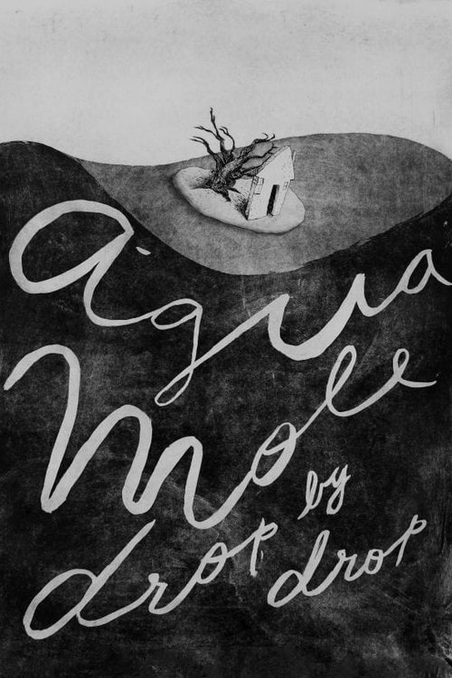 Água Mole movie poster player