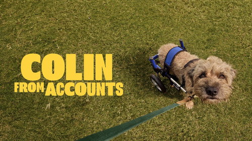 Colin from Accounts - S3 - Capture