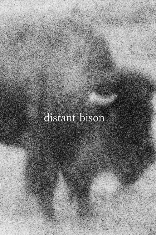 distant bison