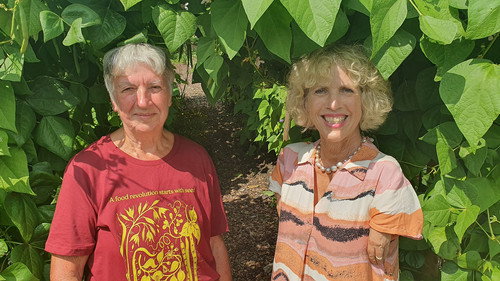 Gardeners' World S59E03 backdrop