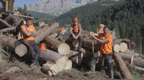 Poster della serie Undercut: l'oro di legno