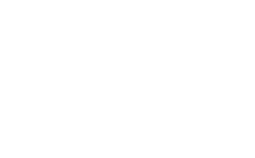 Diamond City