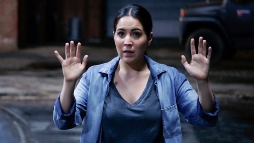 Assistir Blindspot S05E05 – 5×05 – Dublado