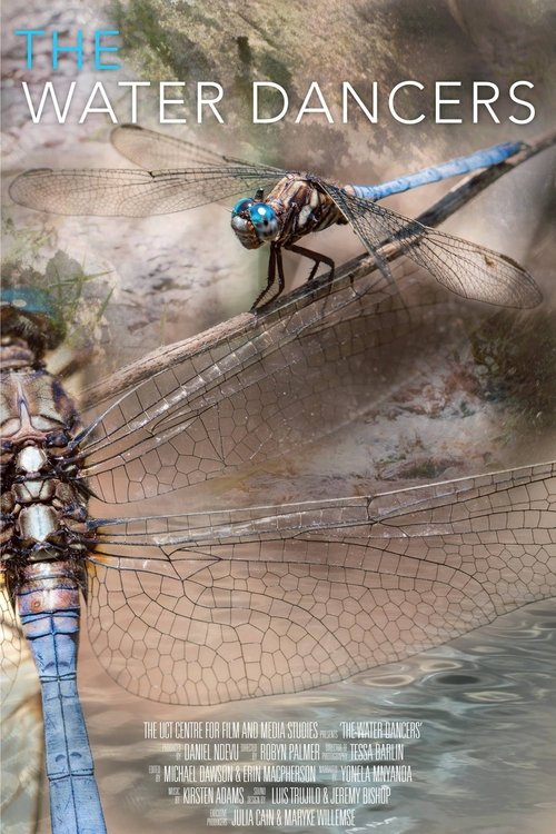 The Water Dancers poster