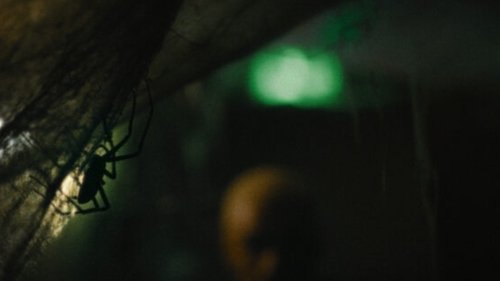 Infested Screenshot