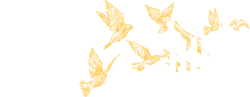 A Yellow Bird