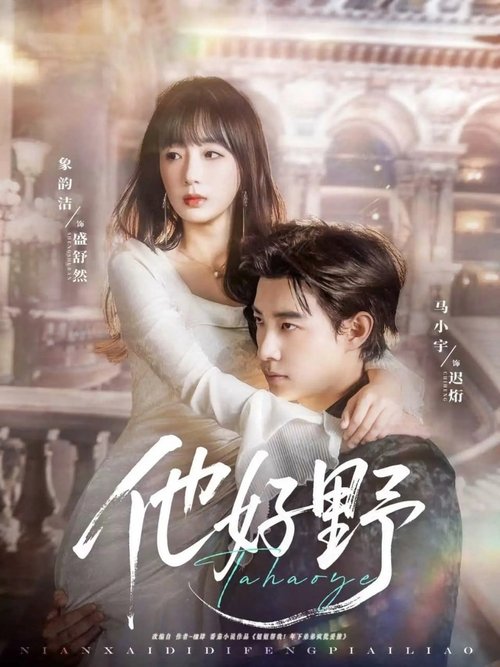 他好野 poster